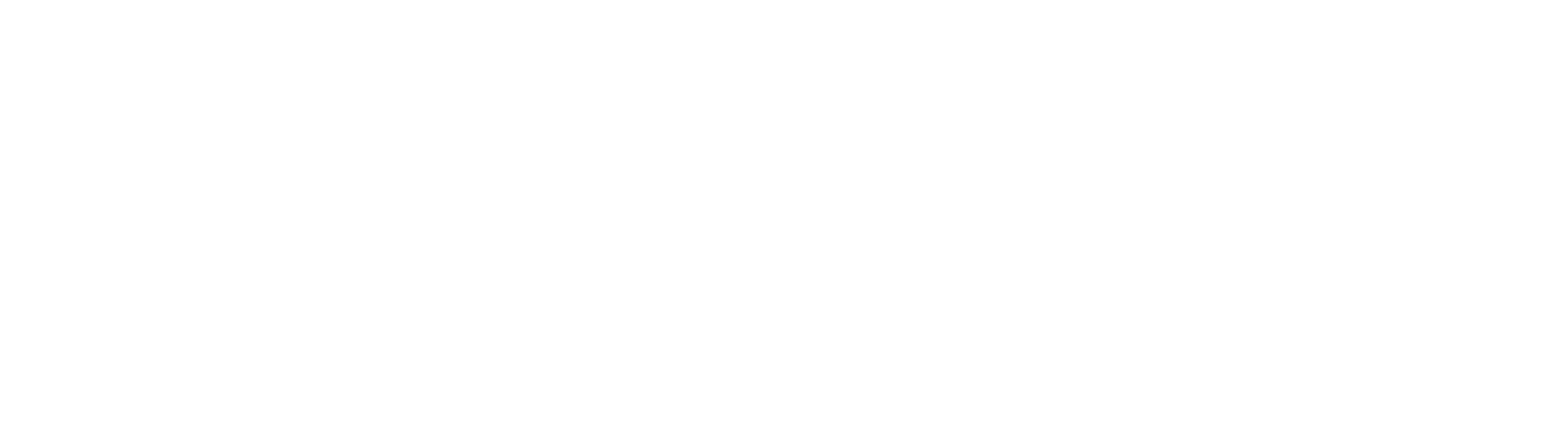 logo fly in